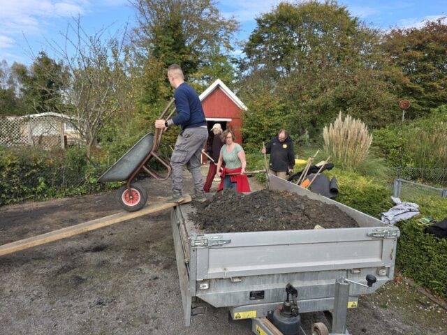 2025-Gemeinschaftsarbeit-21