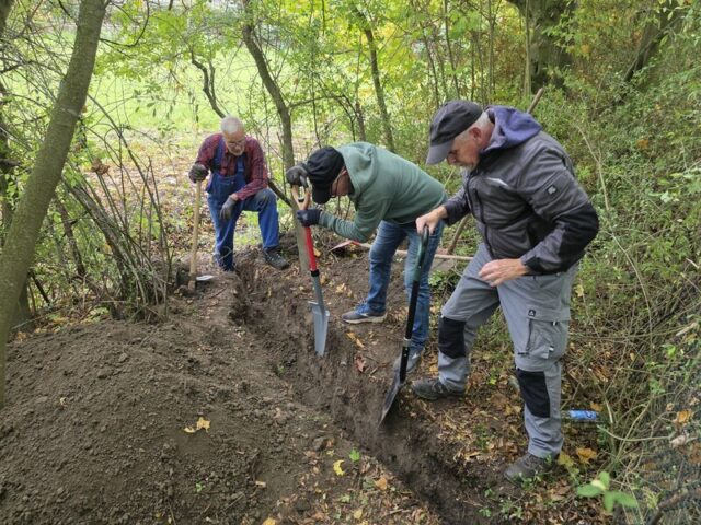 2025-Gemeinschaftsarbeit-9